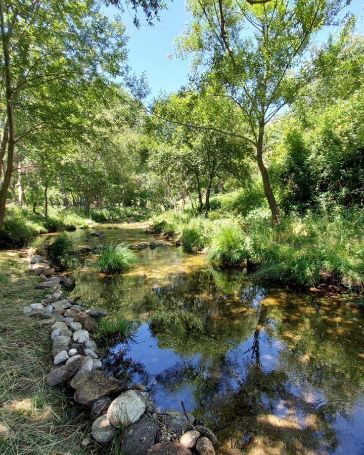 Hotel Ribera Del Corneja Navacepedilla de Corneja Bagian luar foto